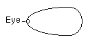 egg outline, small circle inside sharp end labelled `Eye'